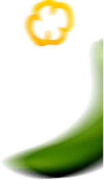 Shape
